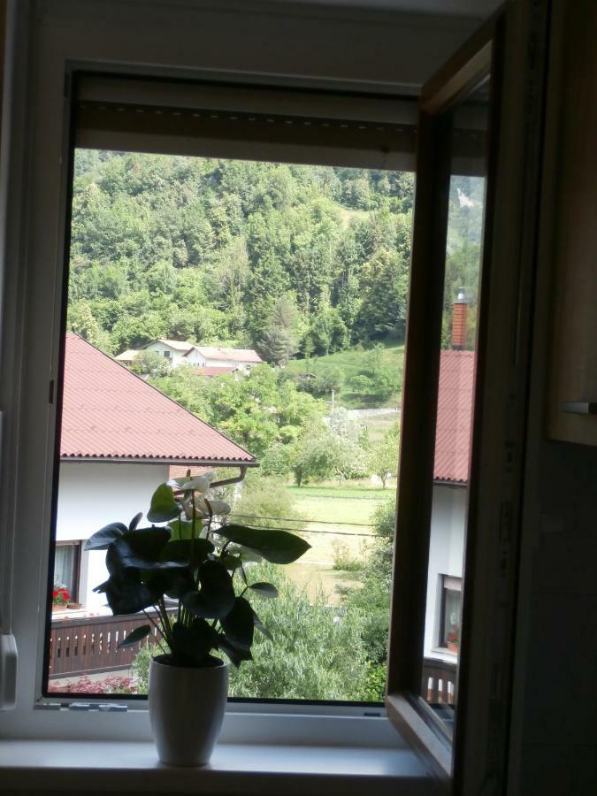 Apartma Ana Dreznica Kobarid Exterior photo